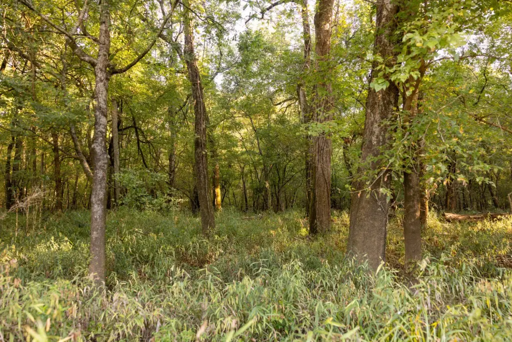 Picture 26