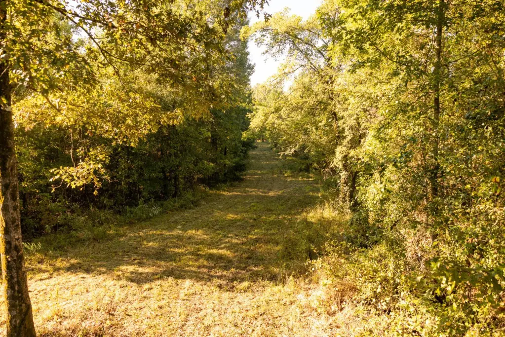 Picture 19