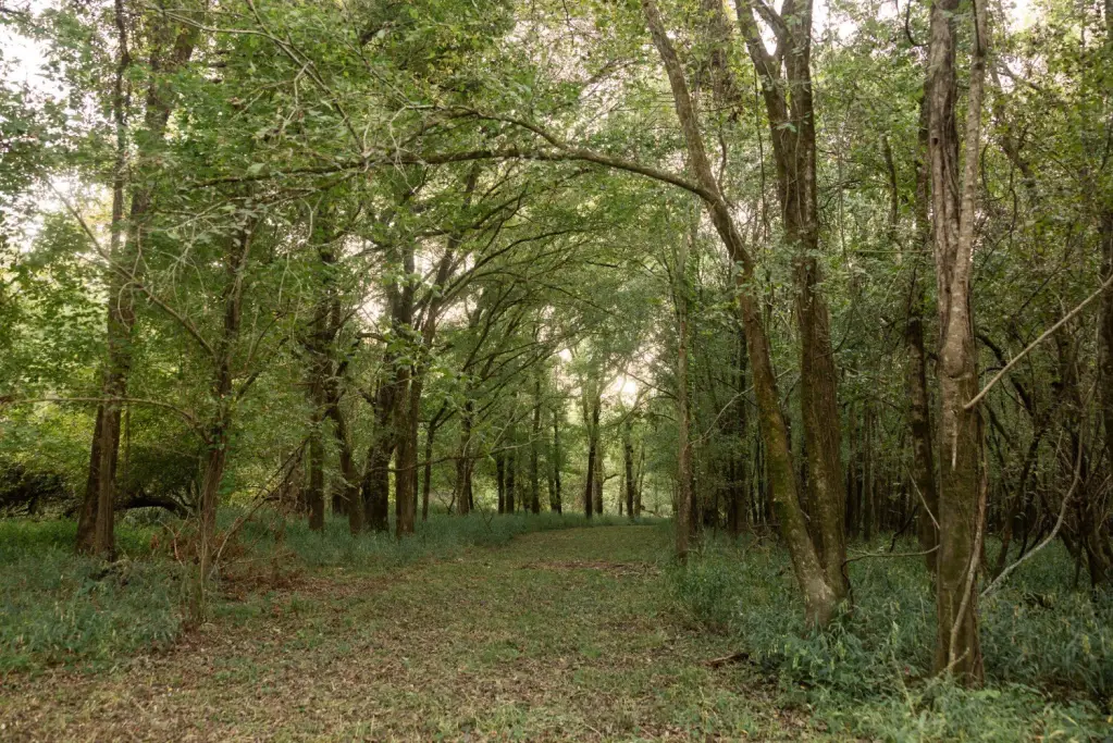 Picture 20