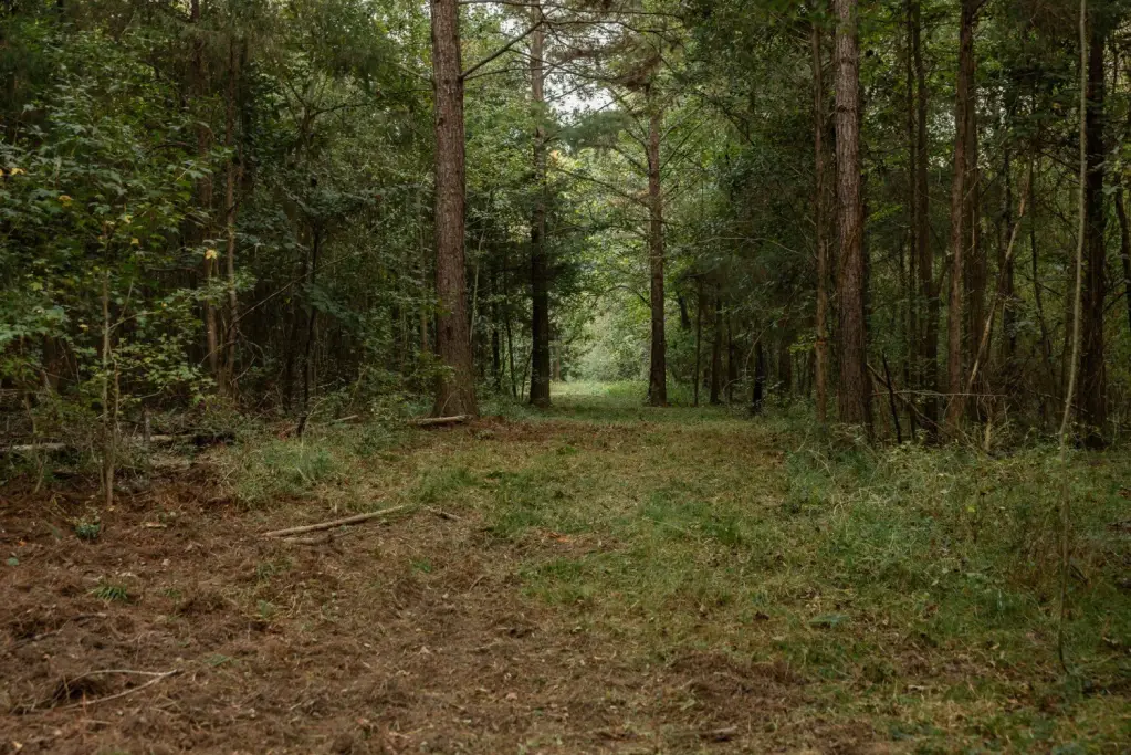 Picture 25