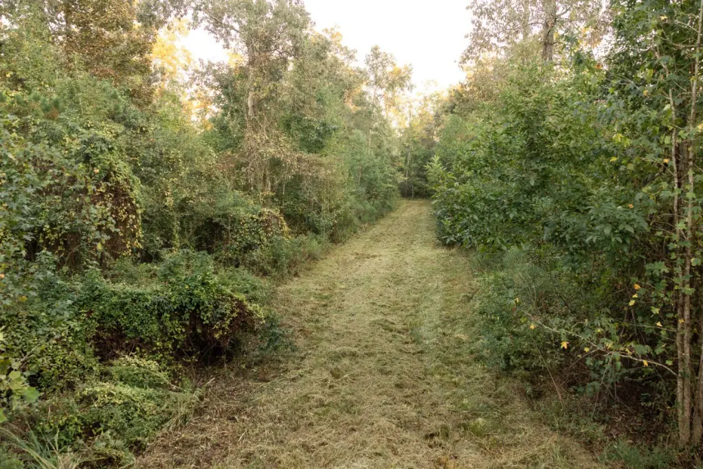 Picture 42