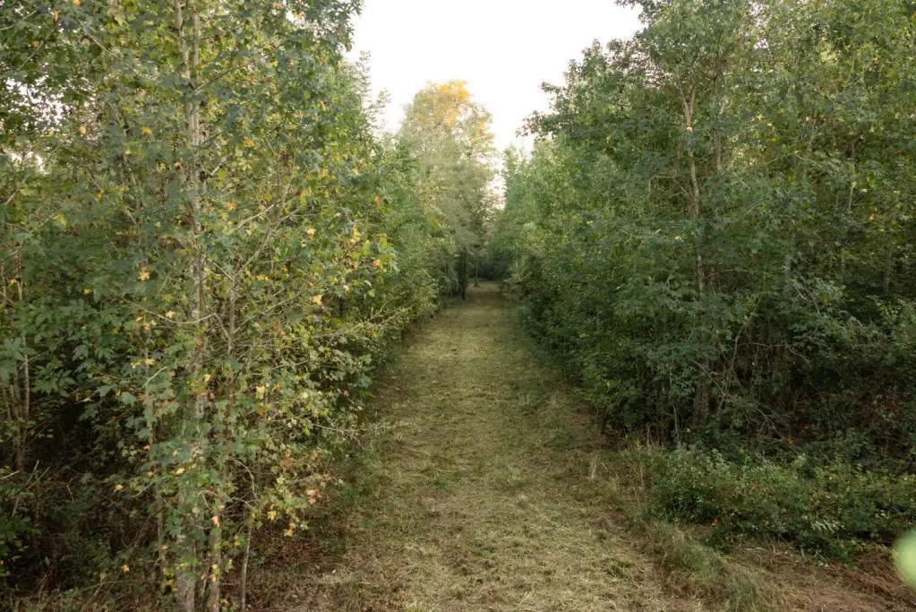 Picture 41