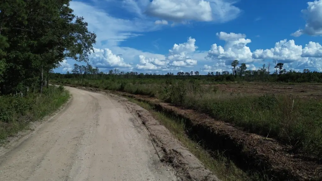 Picture 19
