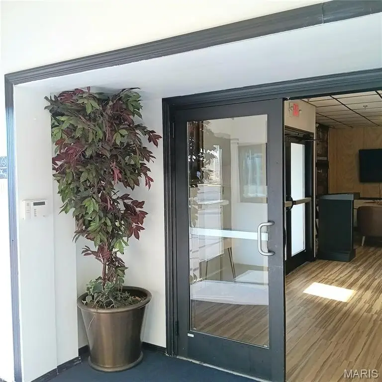 Picture 14