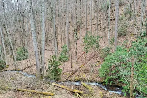 Tilley Creek Mountain Land