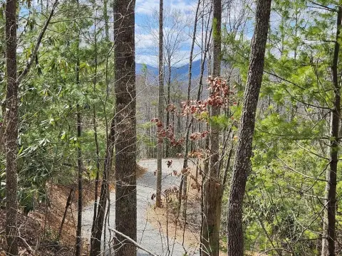 Topton, NC Mountain Paradise Land