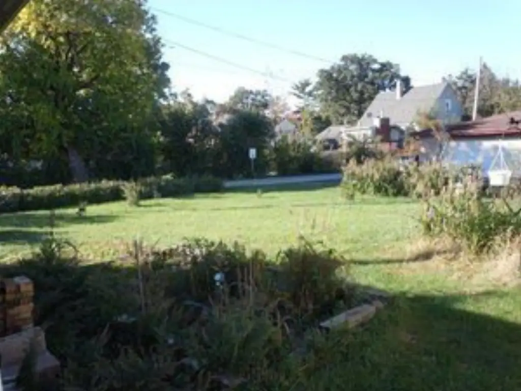 Picture 19