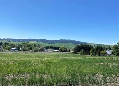 Residential Land in Moscow, ID