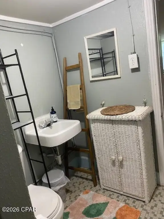 Picture 27