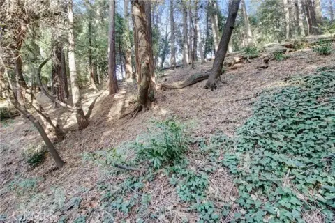 Crestline Land with Forest Views