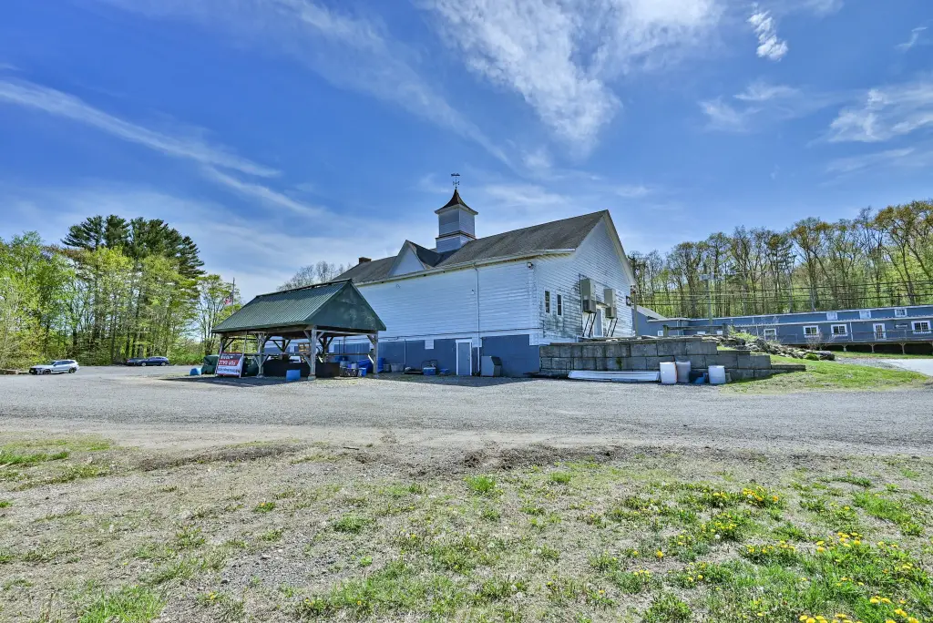 Picture 8