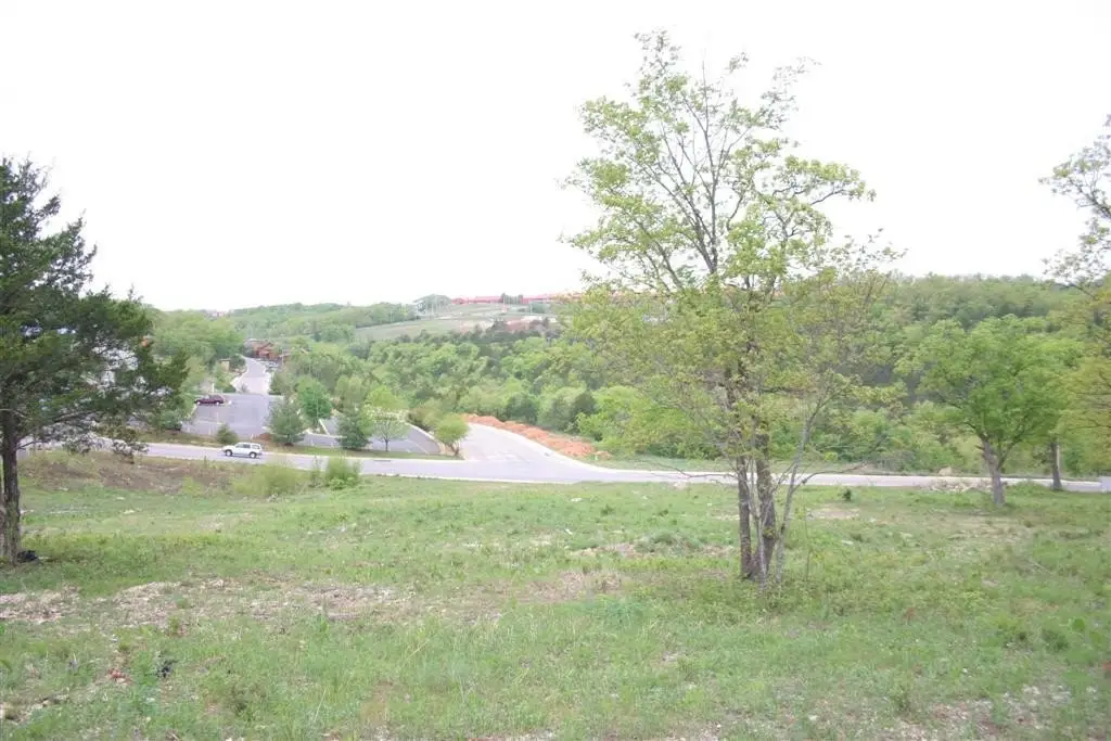 Picture 3