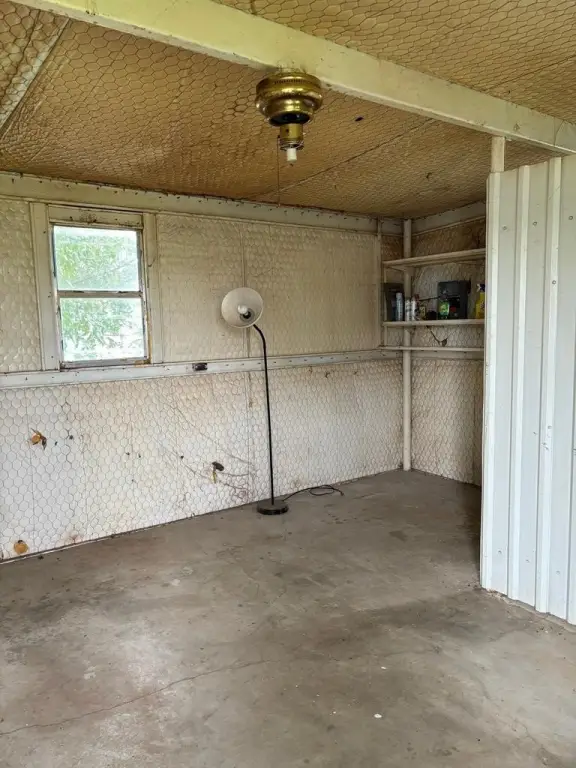 Picture 8