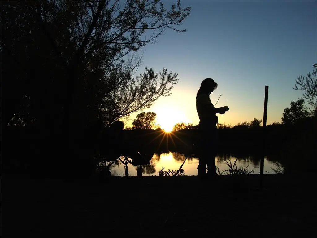 Picture 13