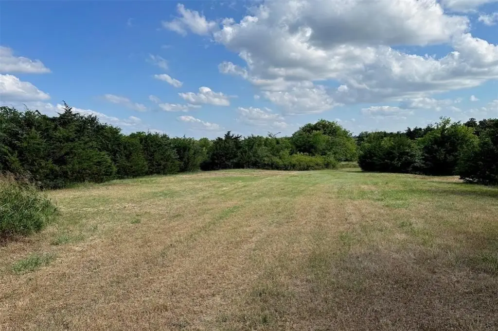 Picture 20