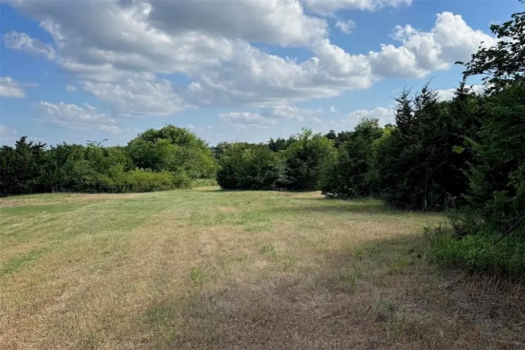 Picture 21