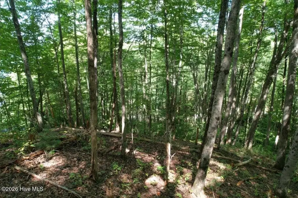 Picture 3