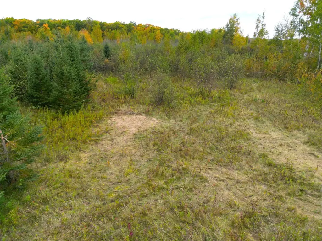 Picture 41