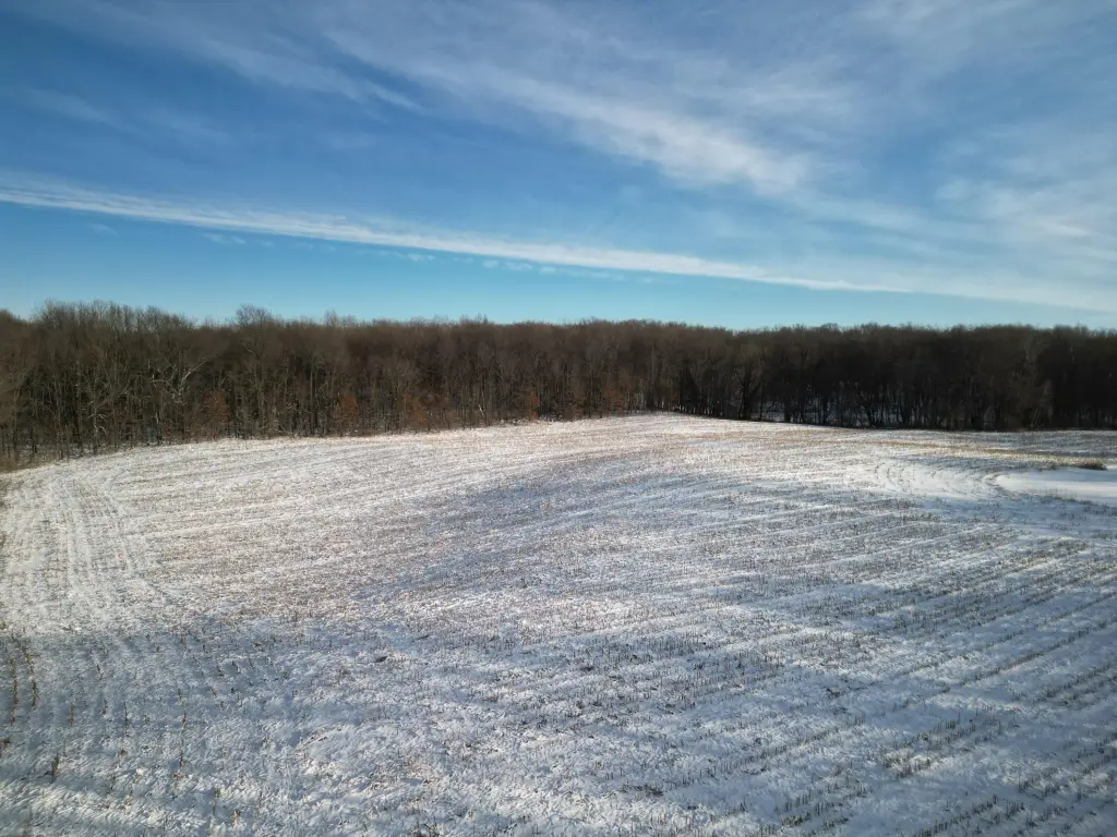 Picture 17