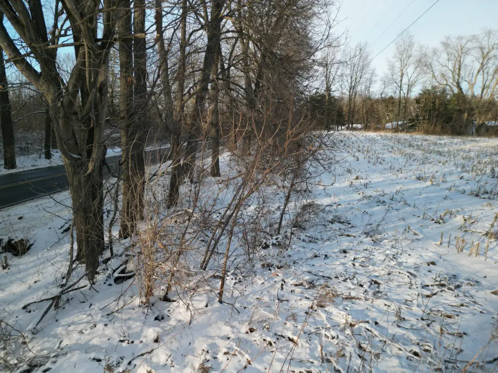 Picture 20