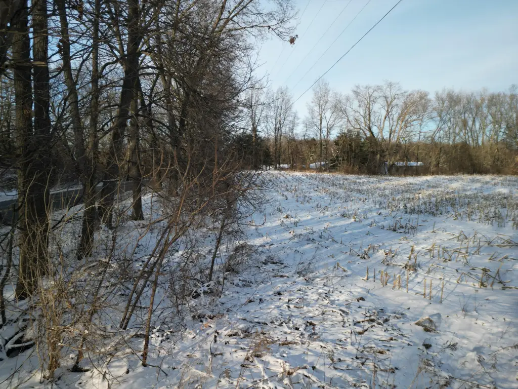 Picture 21
