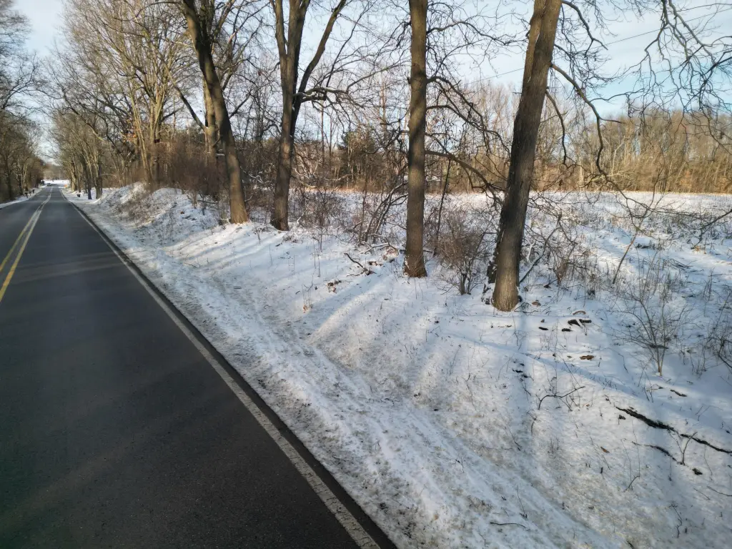 Picture 19