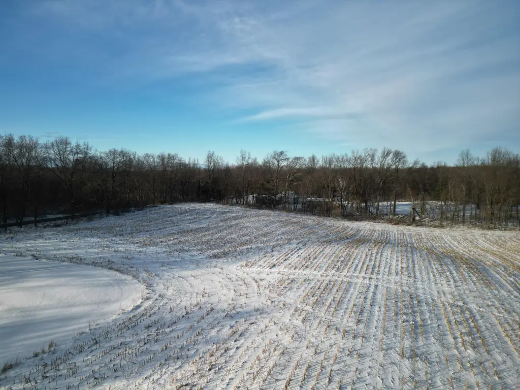 Picture 16