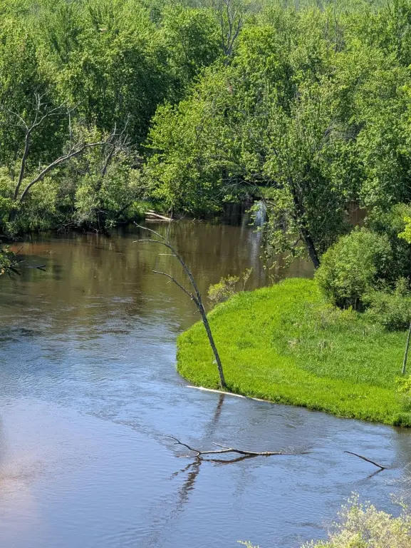 Picture 25