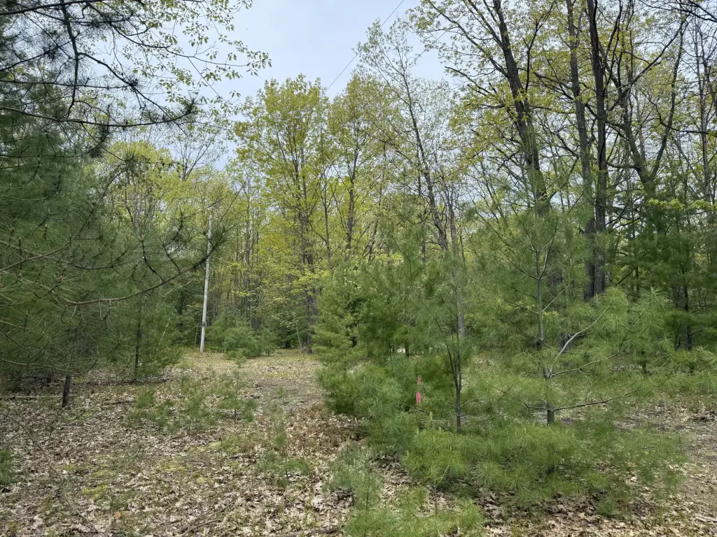 Picture 4