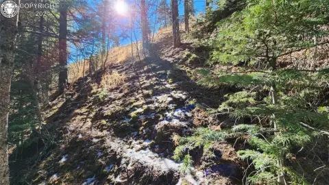 Picturesque Land Near Lake Isabel