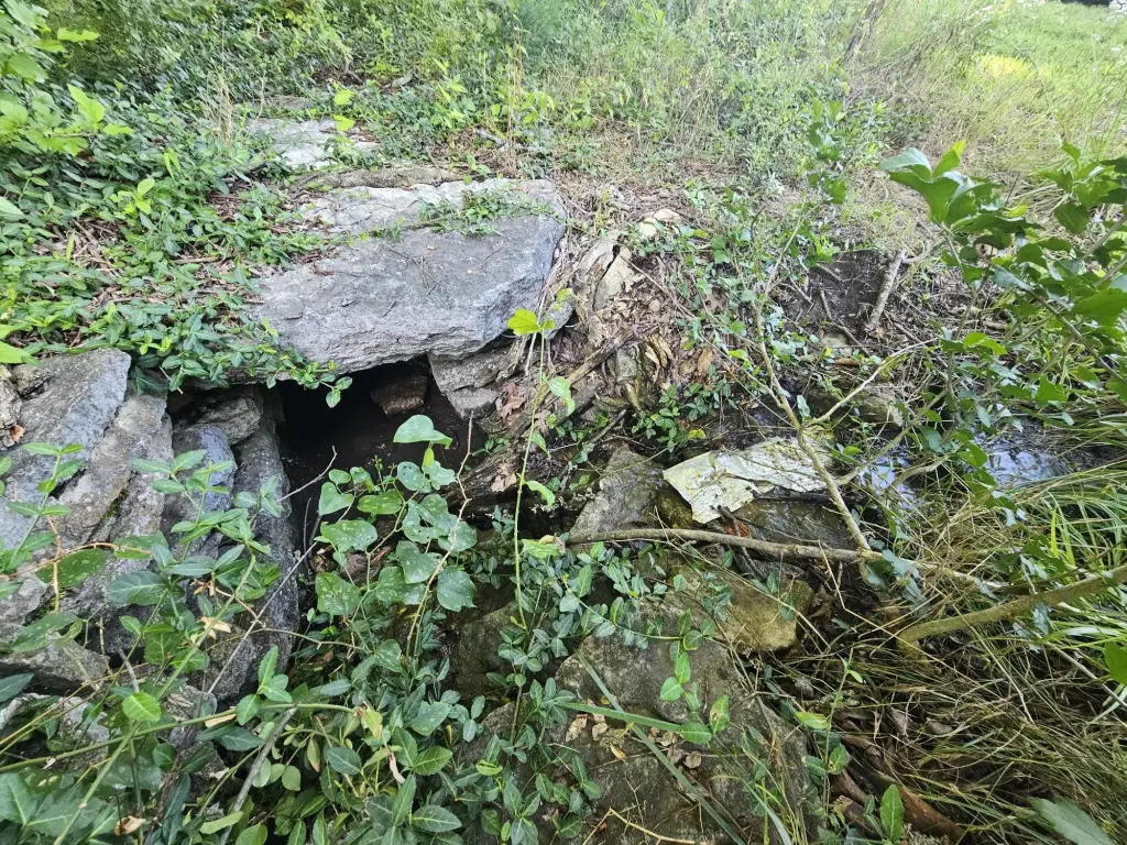 Picture 13