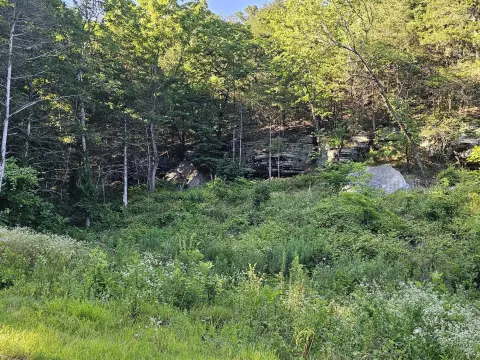 Recreational Land With Cabin