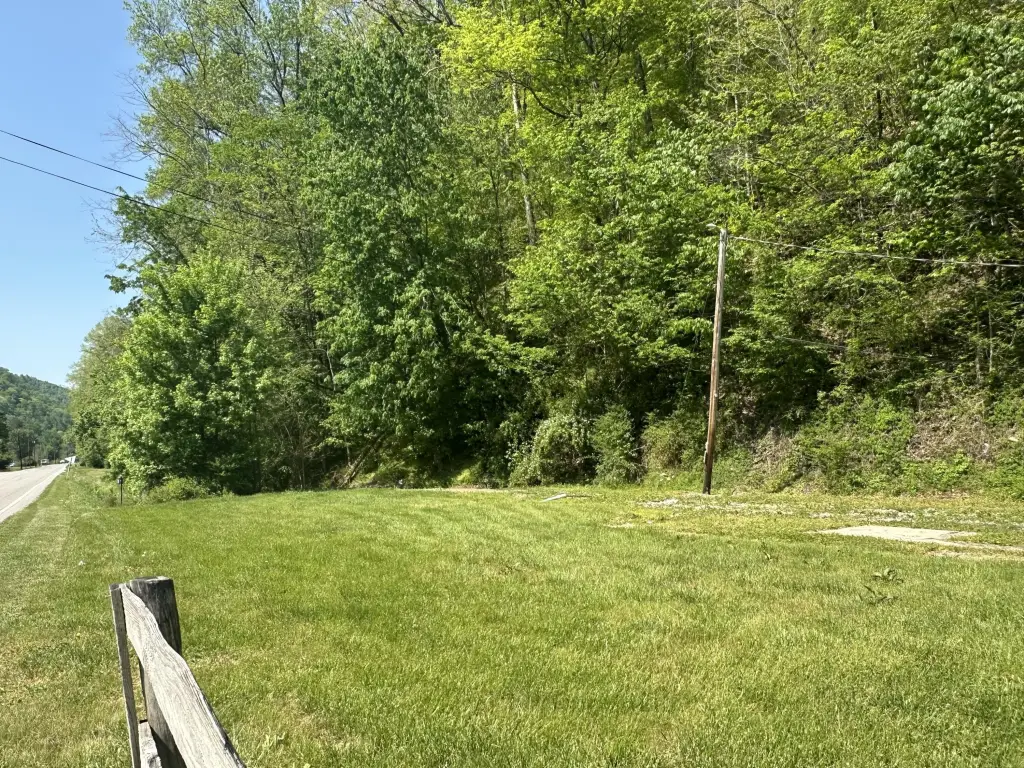 Picture 3