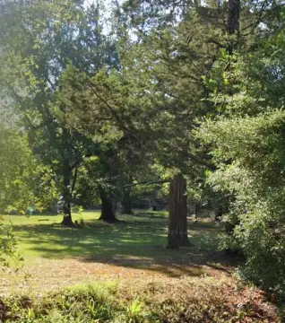 Scottsville Land with Mature Trees