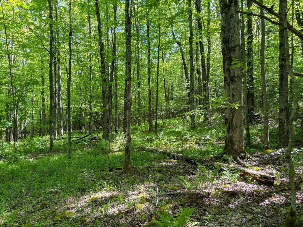 Picture 24