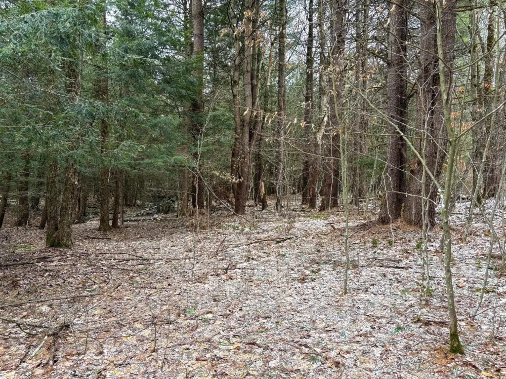 Picture 16