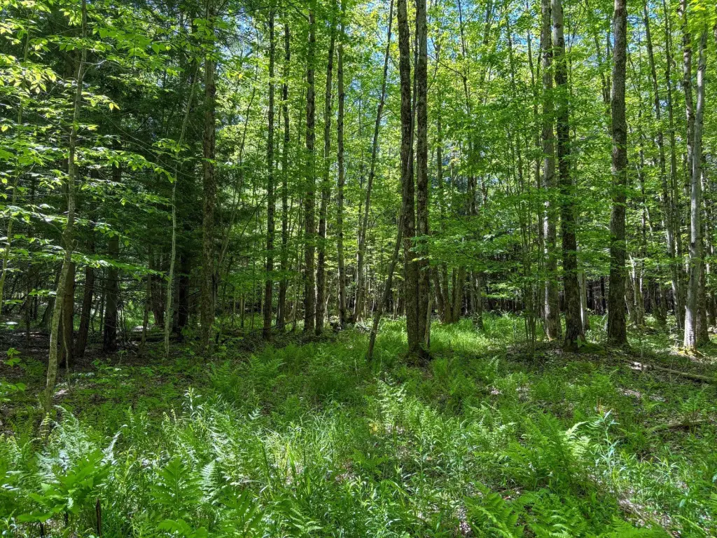 Picture 22