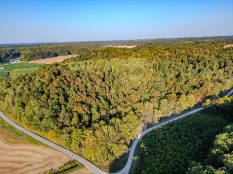 Prime Wooded Land Auction