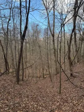 8 Acres of Rural Land