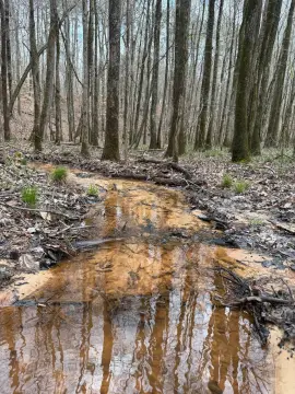 9.75 Acre Land in Ackerman