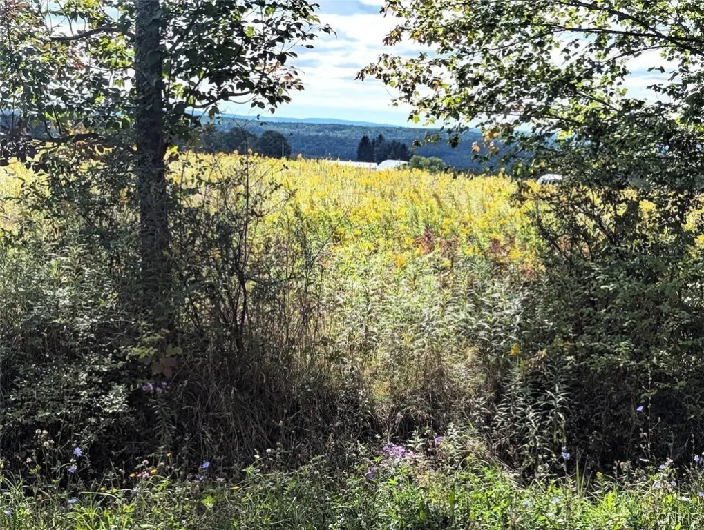 Picture 29