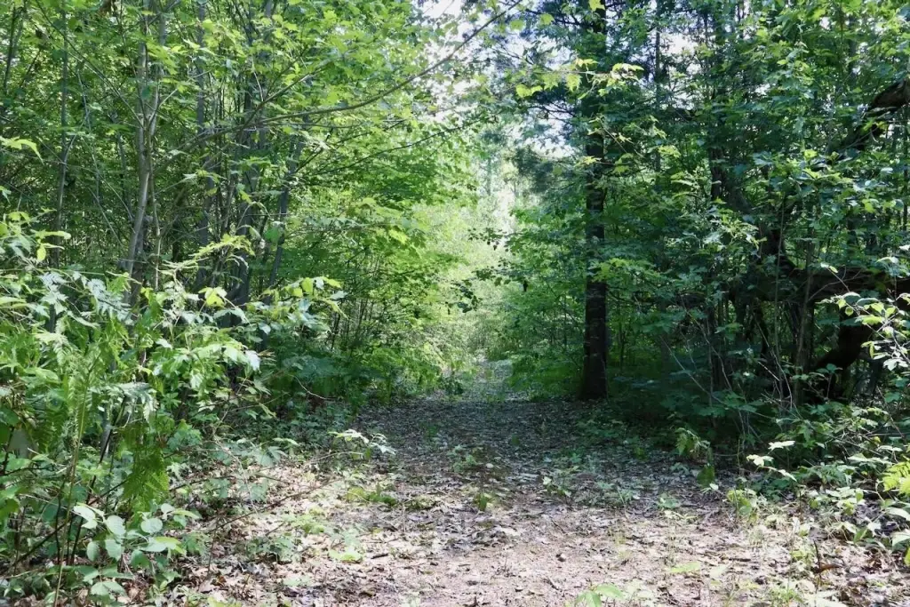 Picture 48