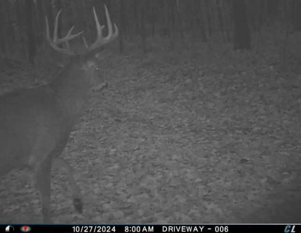 Picture 3