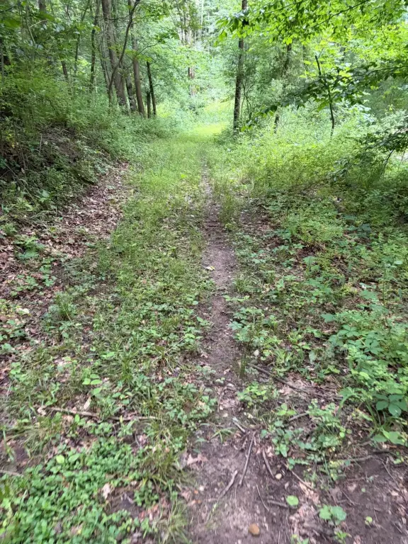 Picture 43