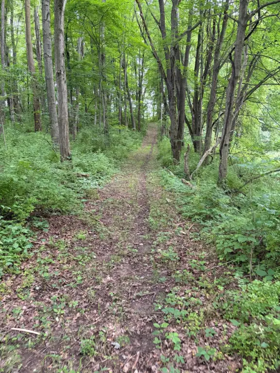 Picture 42