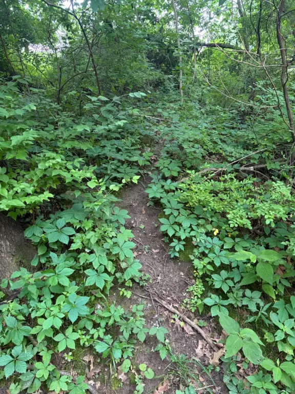 Picture 25