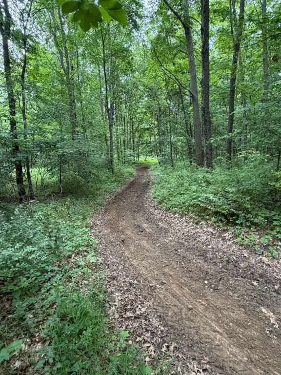 Picture 29