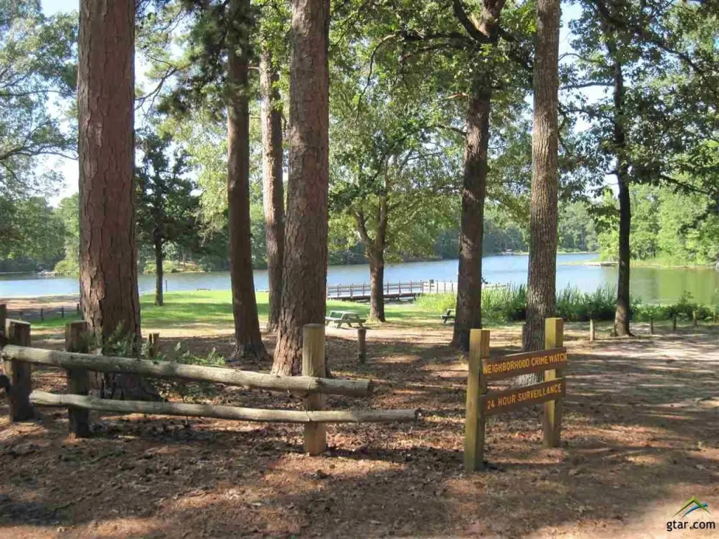 Picture 16