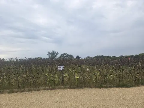 Land with Highway Access