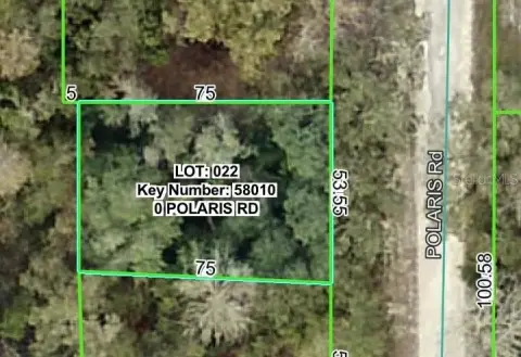 Land Parcel in DADE CITY